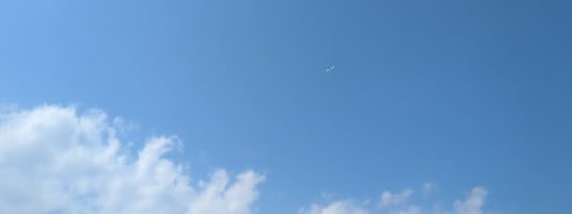 sakuraさんの壁紙画像