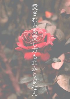 愛され方も愛し方もわかりません