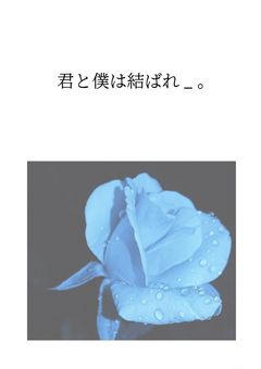僕と君は結ばれ＿＿。