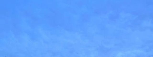 ねぎとろさんの壁紙画像