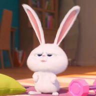 ねぎとろさんのアイコン画像