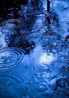 🦁と🐻‍❄️の短編