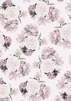  🔞  の  偏 見 集  。