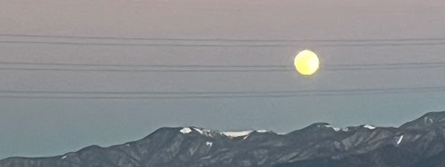 黒豆さんの壁紙画像