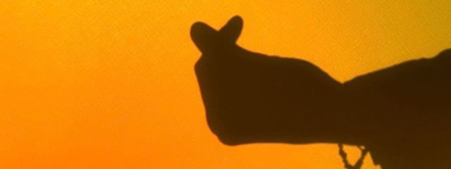 Nekoさんの壁紙画像