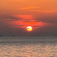 Nekoさんのアイコン画像