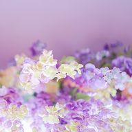 Yuzu💋さんのアイコン画像