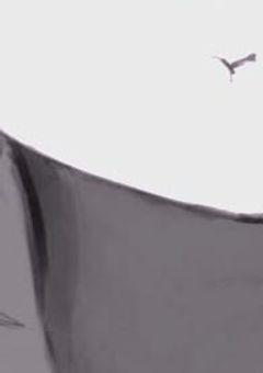 #　雑　.