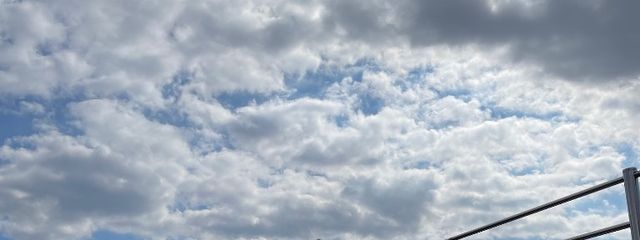 サリーさんの壁紙画像