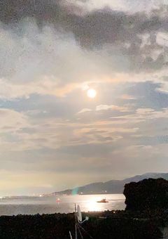 限界オタク系Vライバー、ドMなのは否定するらしい