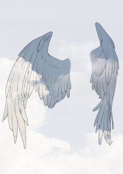 空を舞って。