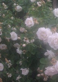 It's not too much to say that my world is turning on you