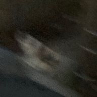 ぴずさんのアイコン画像