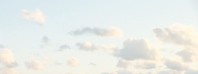 maruchanさんの壁紙画像