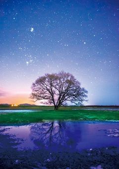 スナイパーの私はヒーローやヴィランに追われてます