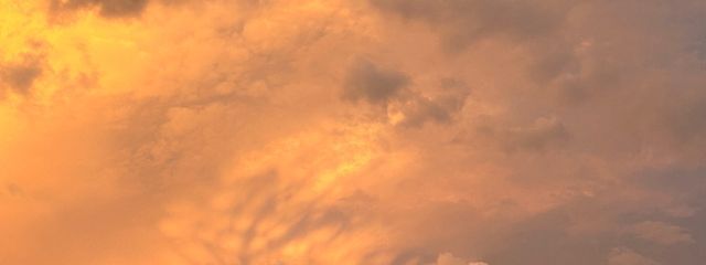 杏葉@あんみつのサブさんの壁紙画像