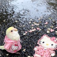 カナさんのアイコン画像