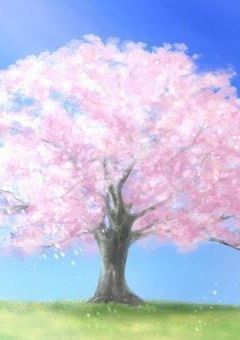 中学日記☆   一学期編