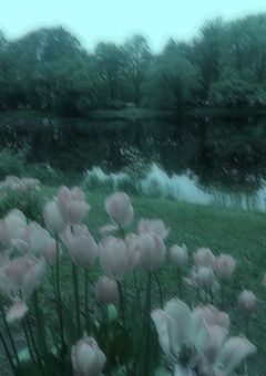 ［　参加型　］我らは推しCP腐教隊！！！