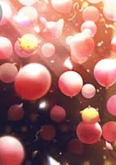 いれいすリーダーの妹さんはニーゴのメンバー