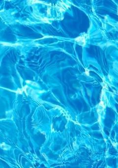 ꒰ঌしょーこん໒꒱