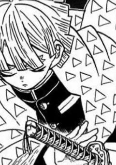 我妻善逸が審神者になるだけの話 。