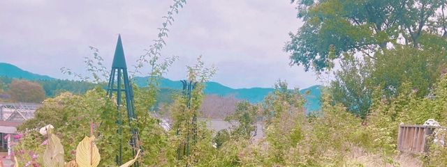 -　紫　-さんの壁紙画像