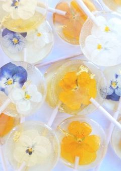 short 短編集 -assorted-