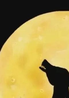 ãå
¬åŒããŒããwolf feast