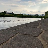 カスタード🏸さんのアイコン画像