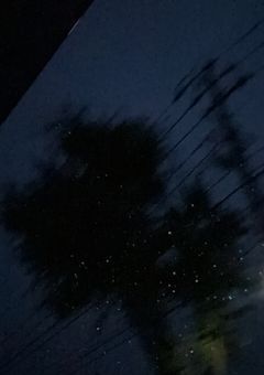 参加型小説の説明！