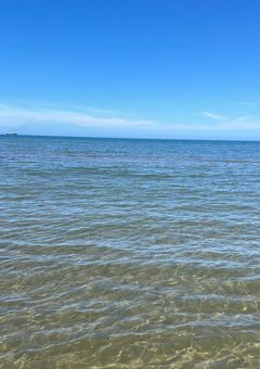 君に恋して三千里___