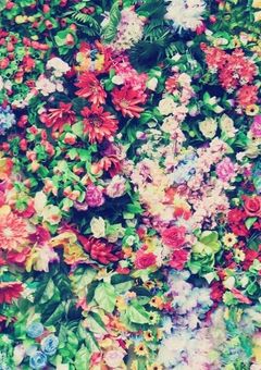 センターの彼は愛され担当！？