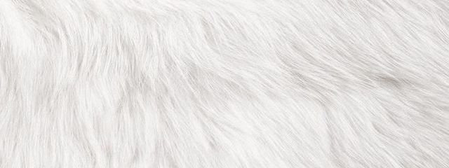 ._.さんの壁紙画像