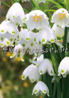 【参加型】警察が嫌いなあるギャング