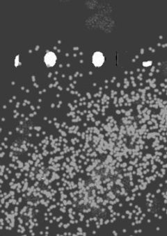 監獄からの脱出