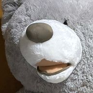 わぁいさんのアイコン画像