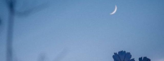 さくらもち@うるとらて~ふさんの壁紙画像