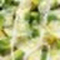 嫌いさんのアイコン画像