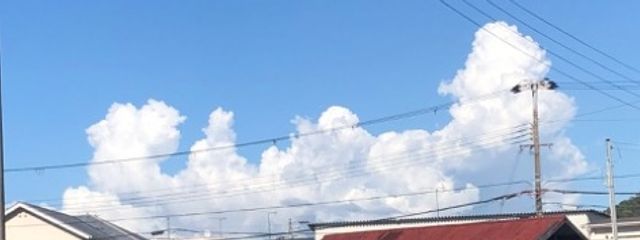 篠塚さんの壁紙画像
