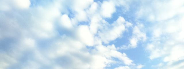 ルルカさんの壁紙画像