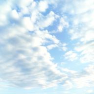 ルルカさんのアイコン画像