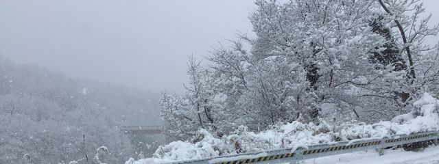 maruTyasu/もう何も残っていないさんの壁紙画像