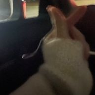 hnmさんのアイコン画像