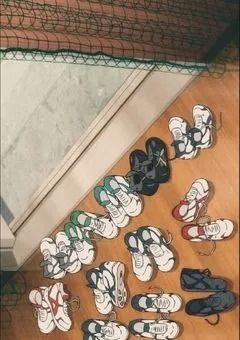 元コート上の蝶