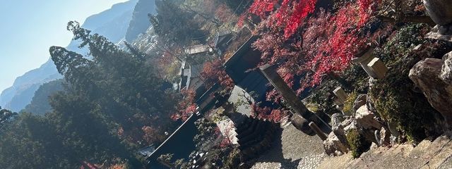 さくらさんの壁紙画像