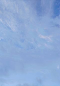 本棚がつくりたーい