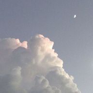 Tさんのアイコン画像