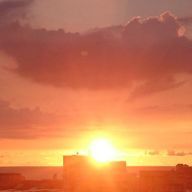 みあ～パンダさんのアイコン画像