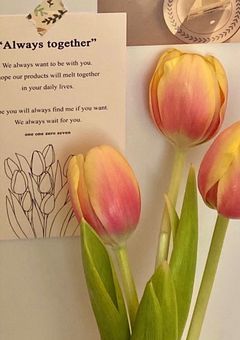 また君に恋をする